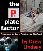 The_P_Plate_Factor