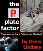 The_P_Plate_Factor The_P_Plate_Factor